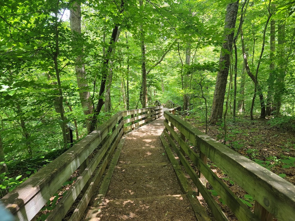 Hemlock Bluffs Nature Preserve | 2616 Kildaire Farm Rd, Cary, NC 27518, USA | Phone: (919) 387-5980