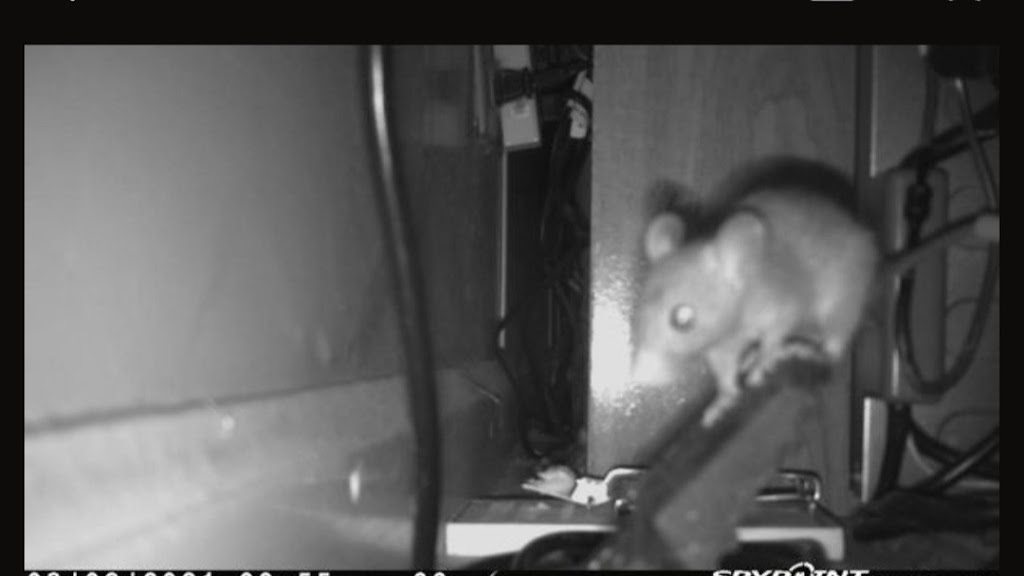 Ramson Services, inc. | 6348 Rocky Point Rd, Lake Wales, FL 33898, USA | Phone: (863) 232-9153