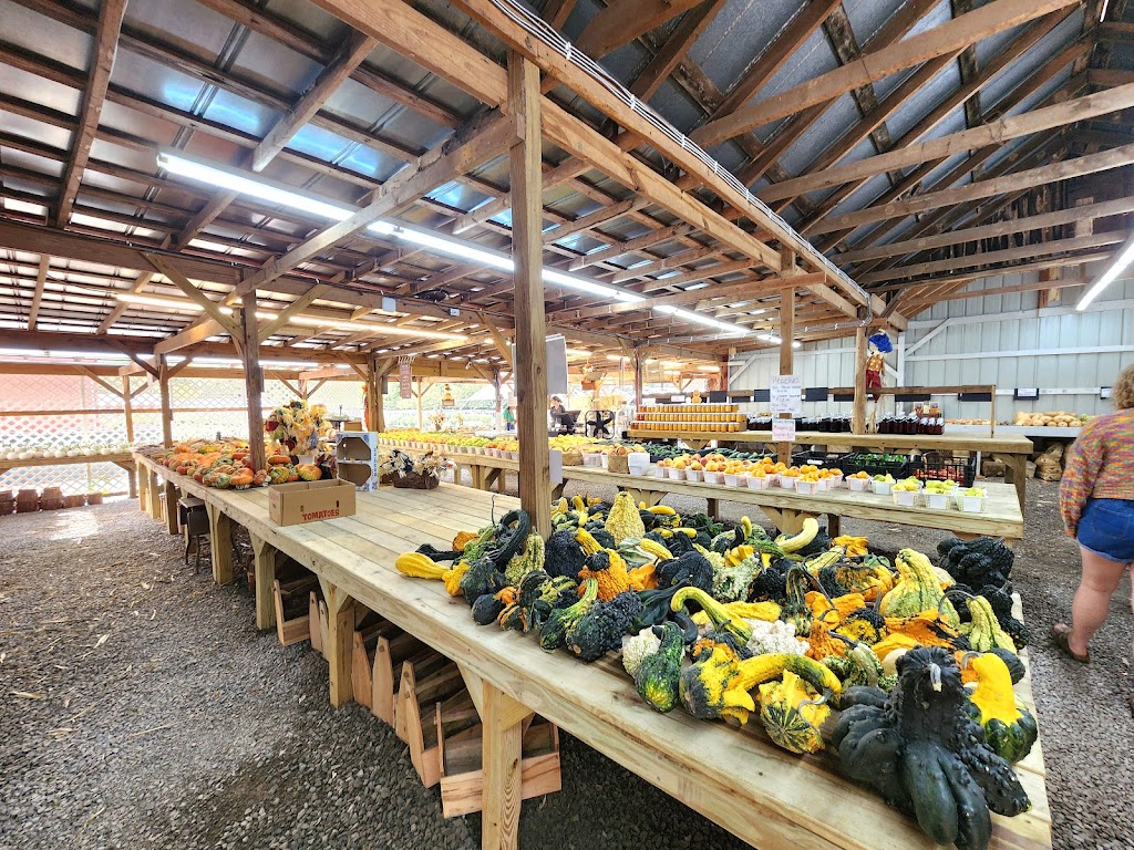 Triple A Farm | 8322 State Hwy 99, Rockvale, TN 37153, USA | Phone: (615) 476-8664