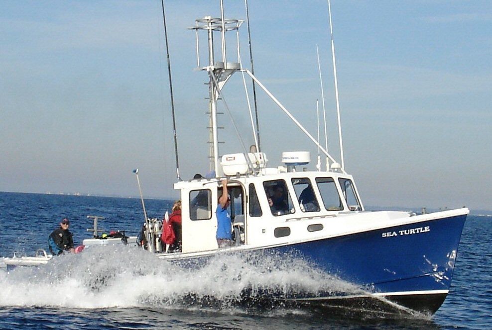 Sea Turtle Dive Charters | 426 W Lake Dr, Montauk, NY 11954 | Phone: (631) 335-6323