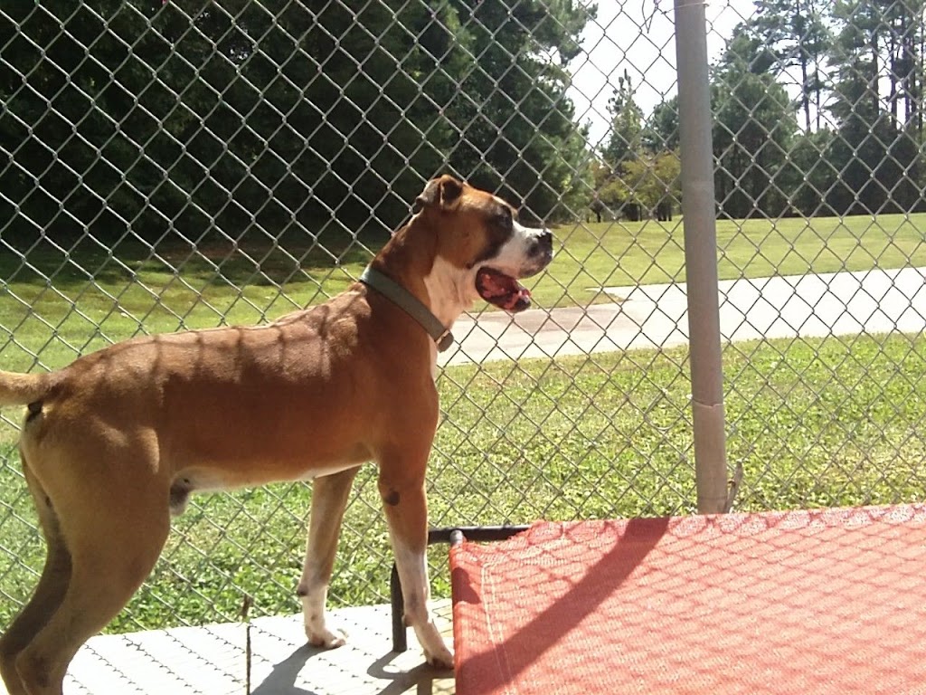 Davidson County Animal Shelter | 490 Glendale Rd #5828, Lexington, NC 27292, USA | Phone: (336) 357-0805