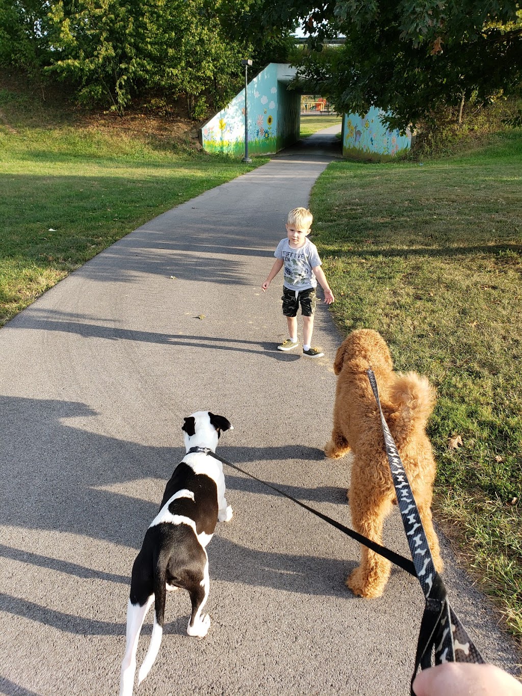 Scott County Dog Park | Cardinal Dr, Georgetown, KY 40324, USA | Phone: (502) 863-7865