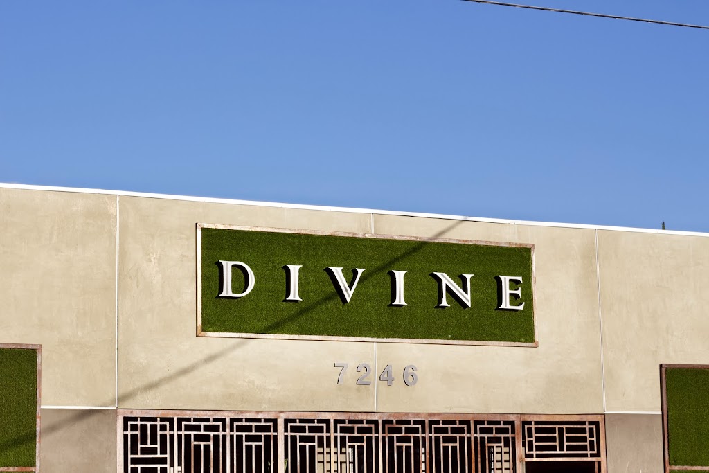 Divine Wellness Center | 7246 Eton Ave, Canoga Park, CA 91303, USA | Phone: (818) 888-4846