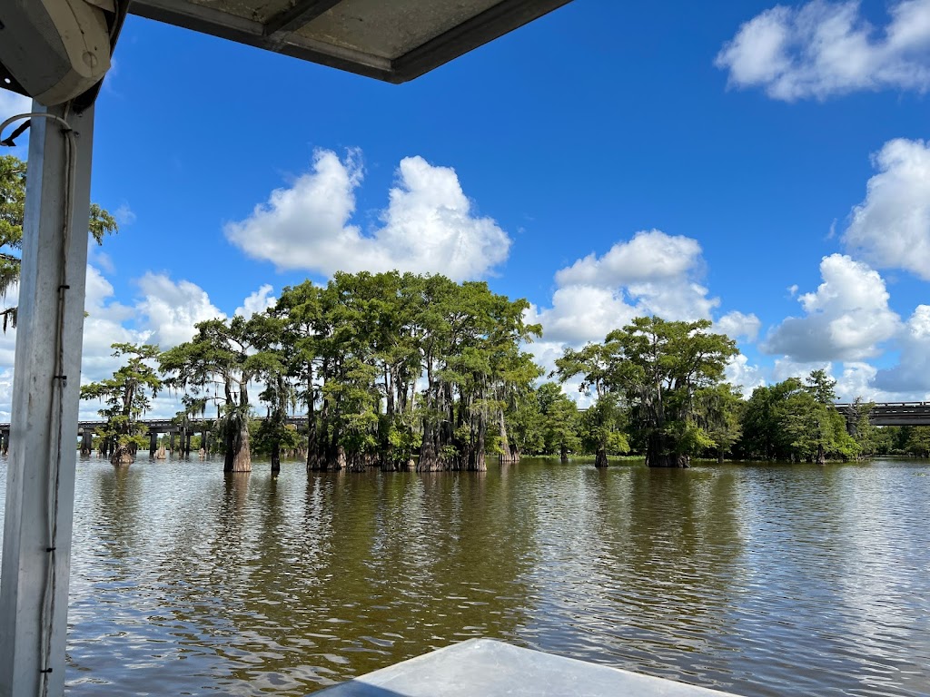 McGees Louisiana Swamp & Airboat Tours | 1337 Henderson Levee Rd, Henderson, LA 70517, USA | Phone: (337) 228-2384