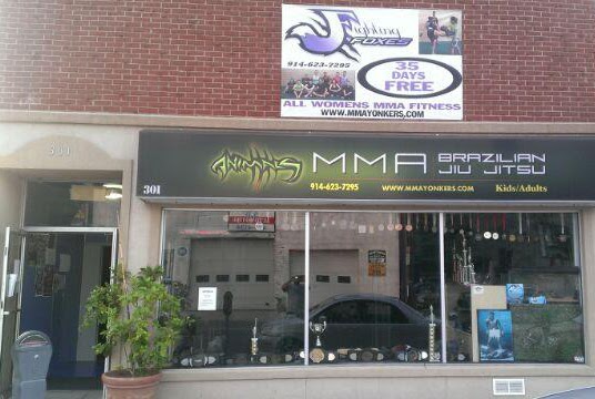 Animals MMA Yonkers | 16 Tuckahoe Rd, Yonkers, NY 10710, USA | Phone: (914) 623-7295