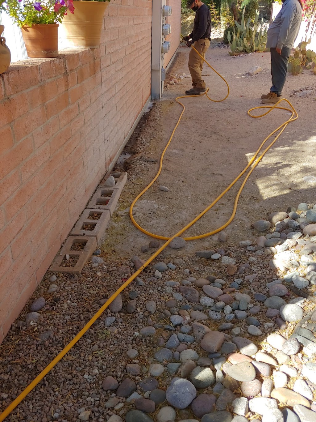 Phoenix Pest & Termite Control | 2911 N 26th Ave, Phoenix, AZ 85017, USA | Phone: (602) 252-4212