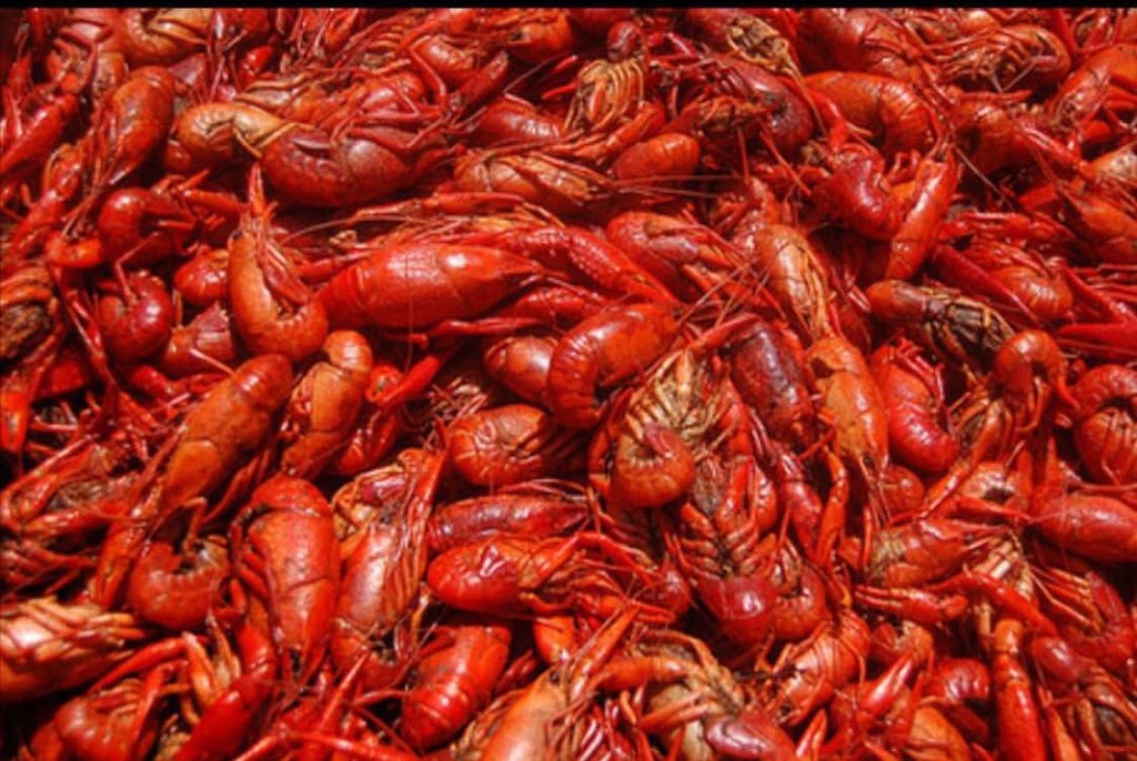 Charles Seafood | 8311 Jefferson Hwy, Harahan, LA 70123, USA | Phone: (504) 405-5263