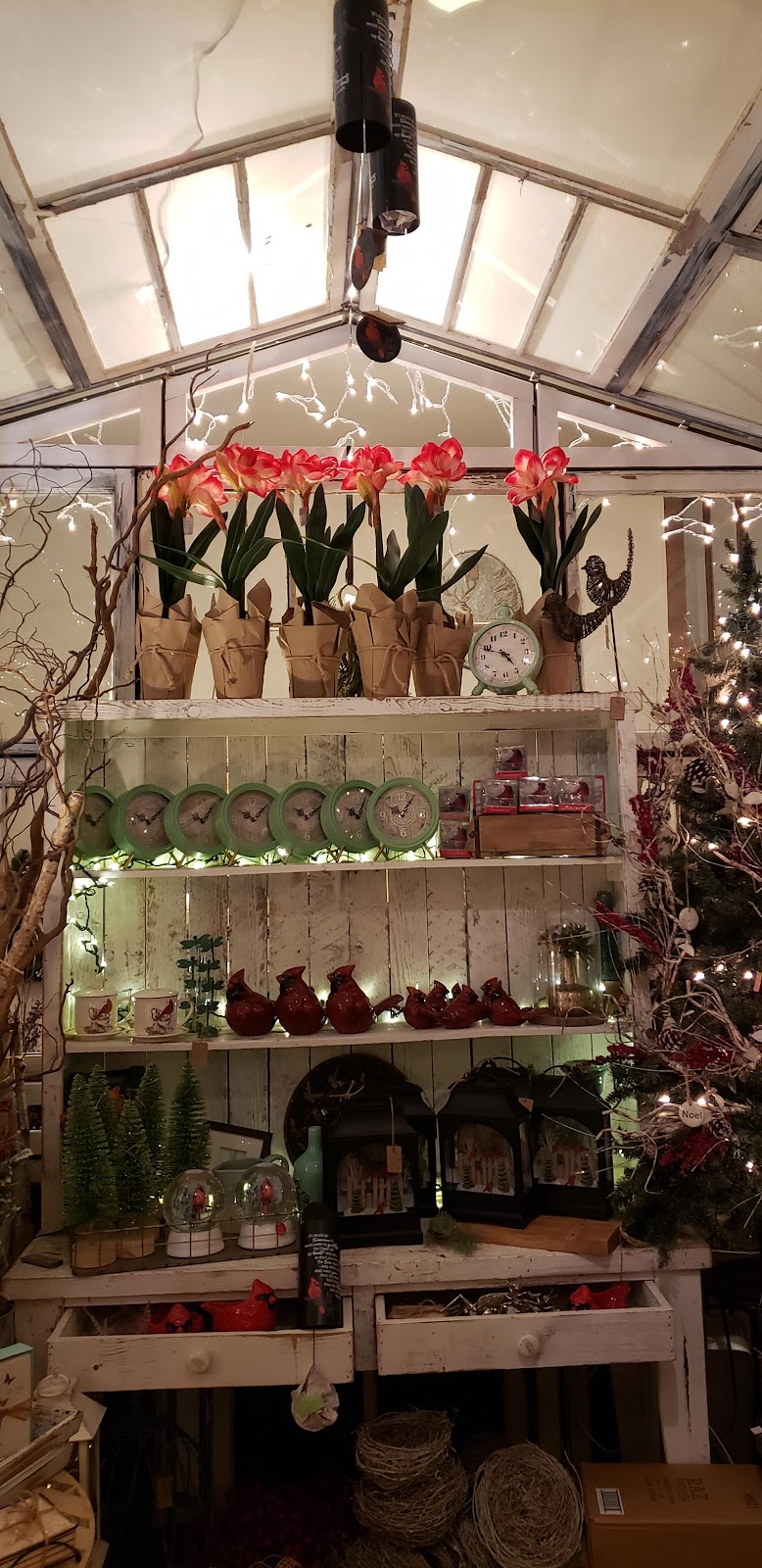 Weeping Willow Florist | 121 Main St, Pettisville, OH 43553, USA | Phone: (419) 445-7773