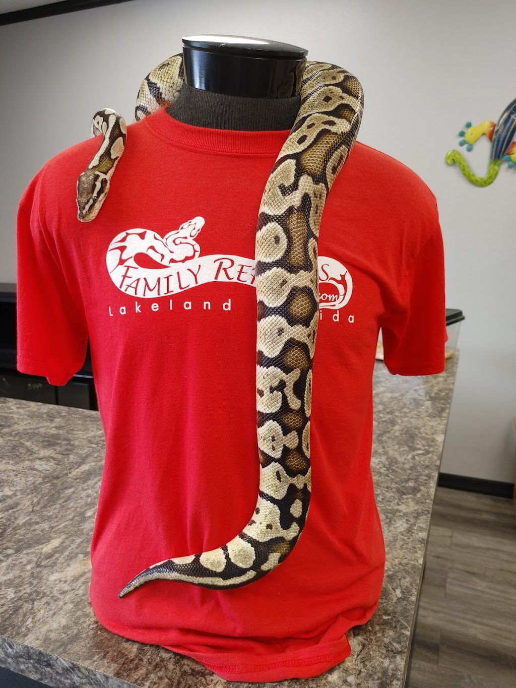 Family Reptiles | 4505 Old Rd 37, Lakeland, FL 33813, USA | Phone: (863) 399-1134