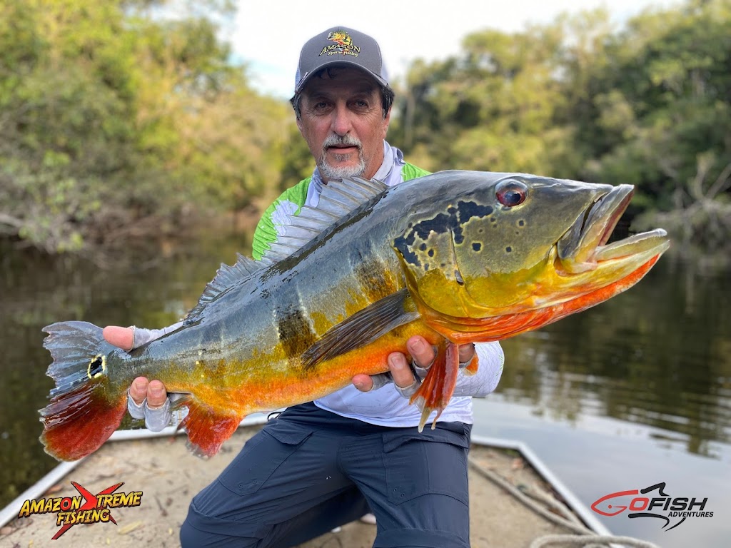 Peacock Bass | Amazon Xtreme Fishing Adventures | 8009 Settlement Dr Suite - 01, Denton, TX 76210, USA | Phone: (469) 995-5351