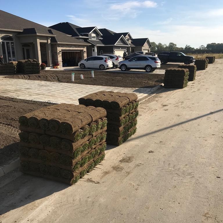 L & M Sod Farms Ltd. | 15511 Essex 8, Oldcastle, ON N0R 1L0, Canada | Phone: (519) 737-7214