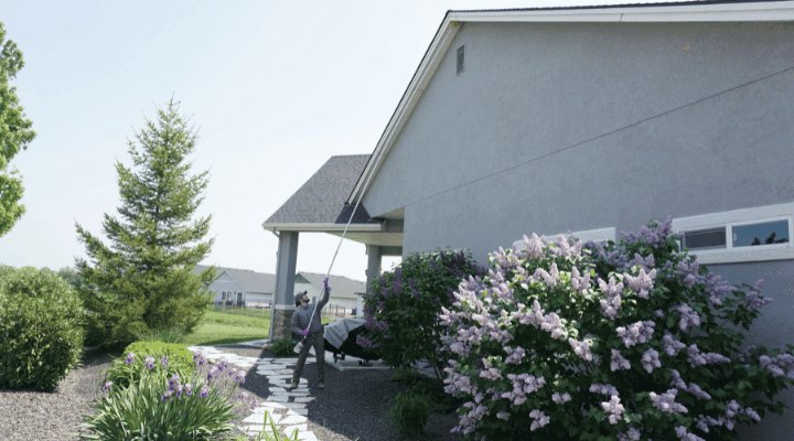 TriGuard Pest Control | 11167 Tungsten St Suite 101, Caldwell, ID 83605, USA | Phone: (208) 999-5070