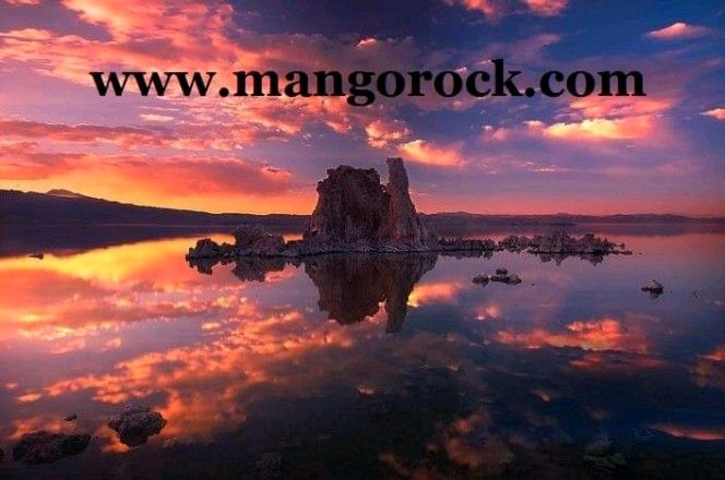 Mangorock International Inc. | 1105 Lee St, Leesburg, FL 34748, USA | Phone: (727) 692-8207