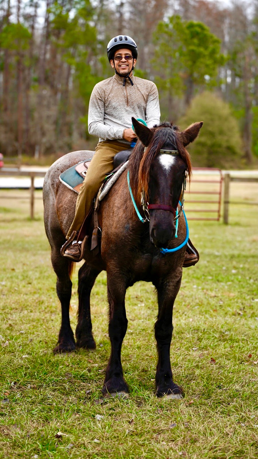 Lake Louisa State Park Tours & Activities | 7305 US-27, Clermont, FL 34714, USA | Phone: (352) 503-4489