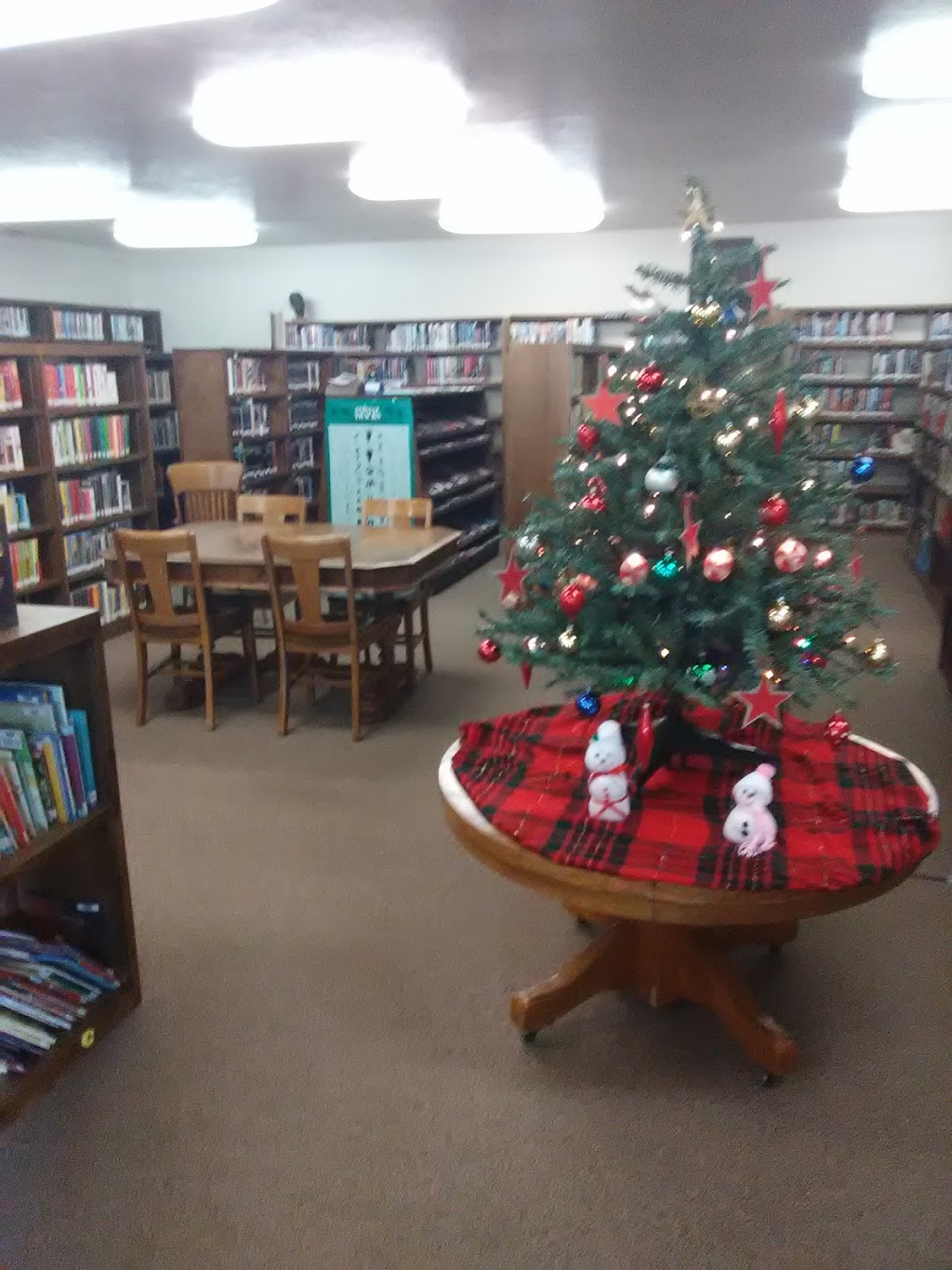 Horseshoe Bend Library | 392 ID-55, Horseshoe Bend, ID 83629, USA | Phone: (208) 793-2460