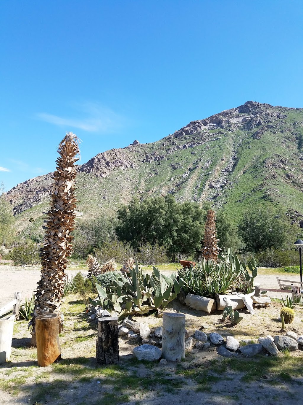 Western Village Mobile Home Park | 83 Bonanza Rd, Palm Springs, CA 92262, USA | Phone: (760) 473-0686
