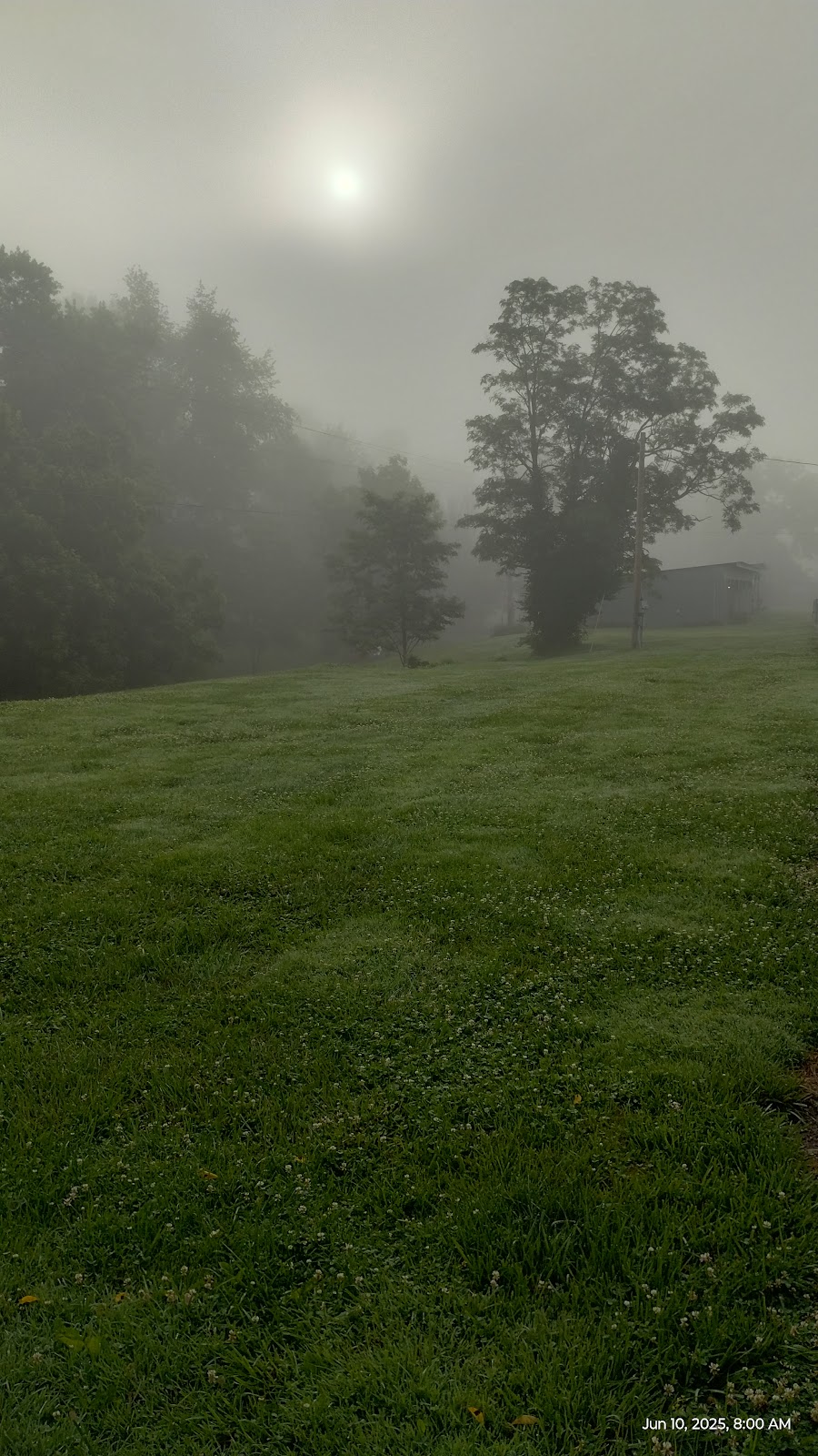 Treasure Cove Campground | 1 Ashland Cove Rd, Vevay, IN 47043, USA | Phone: (812) 599-3990