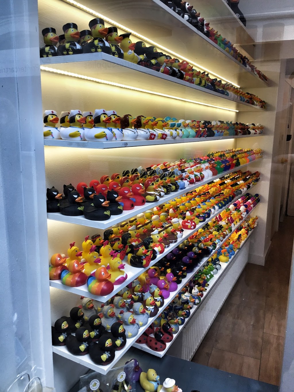 Amsterdam Duck Store | Oude Leliestraat 16, 1015 AW Amsterdam, Netherlands | Phone: 06 55396326