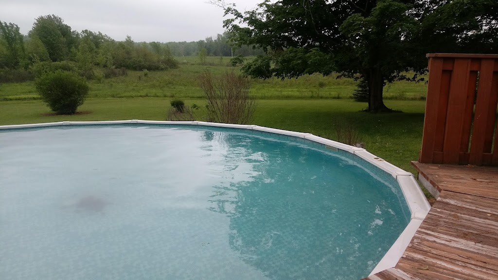 Designer Pools | 10417 Maltbie Rd, Gowanda, NY 14070 | Phone: (716) 532-5498