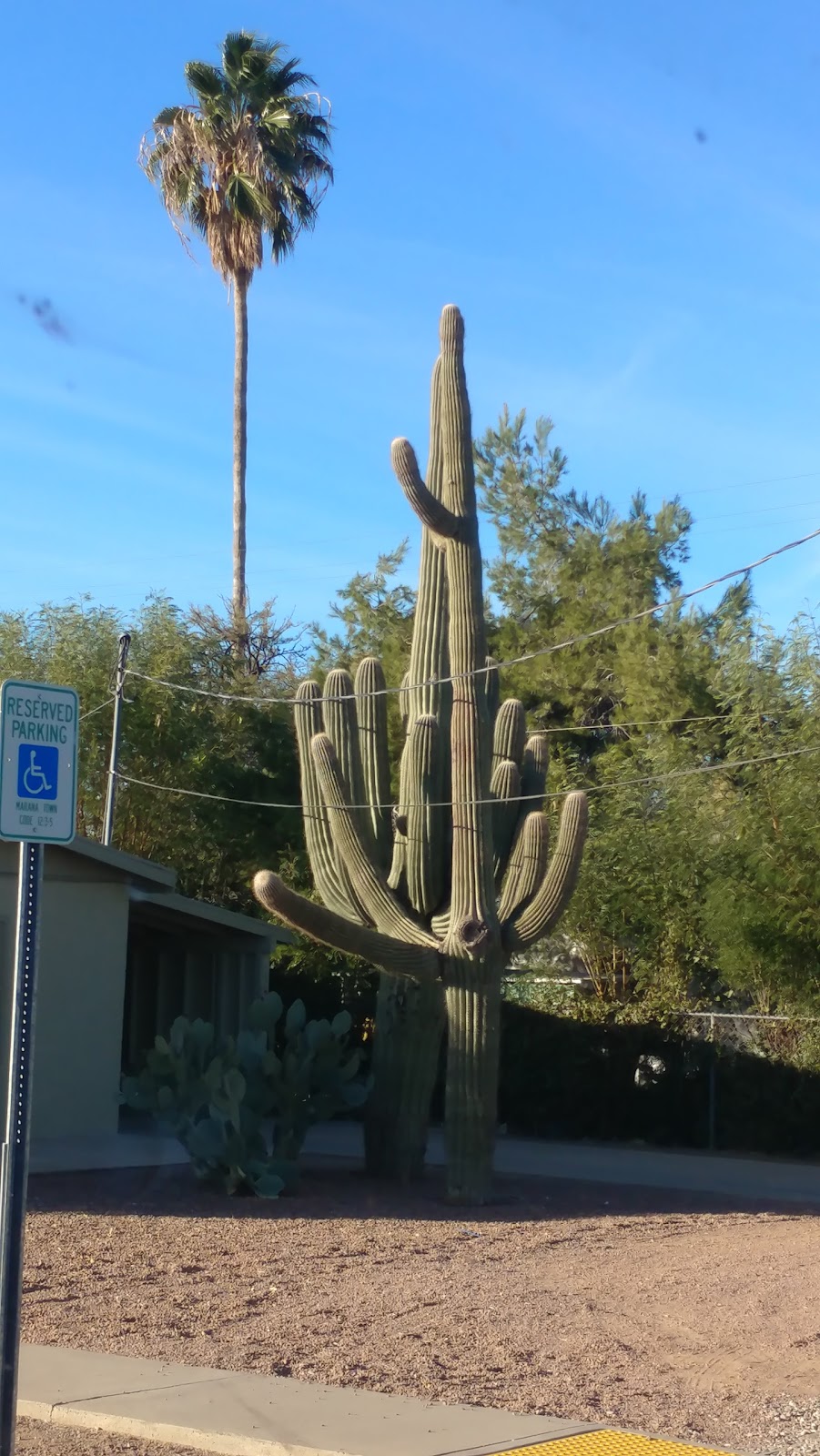 Discover Marana Visitor Center | 13251 N Lon Adams Rd, Marana, AZ 85653, USA | Phone: (520) 639-8040