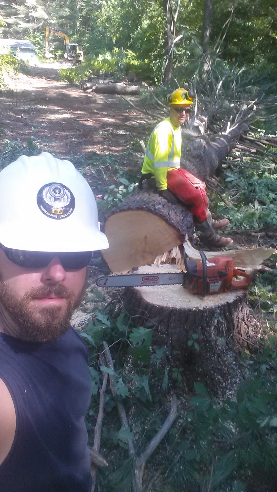 Timberwolf Tree Service | 111 Beard Rd, Delanson, NY 12053, USA | Phone: (845) 443-5582