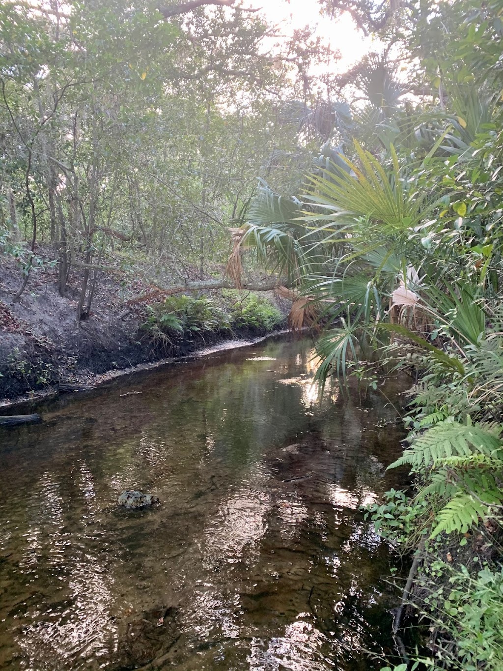 State Street Park | 1969 Chenango Ave, Clearwater, FL 33755, USA | Phone: (727) 488-2712