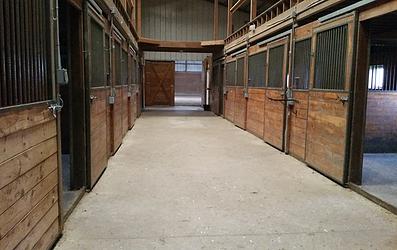 Great Oaks Equestrian Center LLC | 9633 Lindsey Rd, Casco, MI 48064, USA | Phone: (586) 242-2777