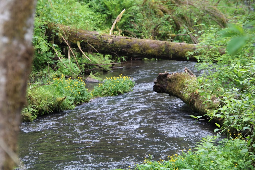 Milo McIver State Park | Milo McIver State Park, Estacada, OR 97023, USA | Phone: (800) 551-6949