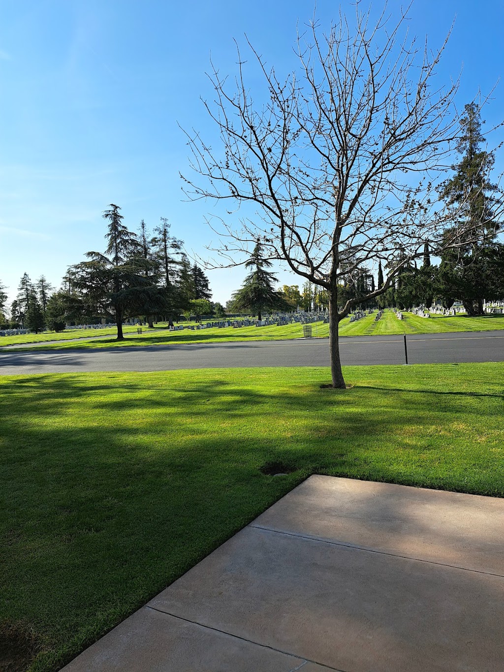 Turlock Memorial Park | 575 N Soderquist Rd, Turlock, CA 95380, USA | Phone: (209) 632-9111