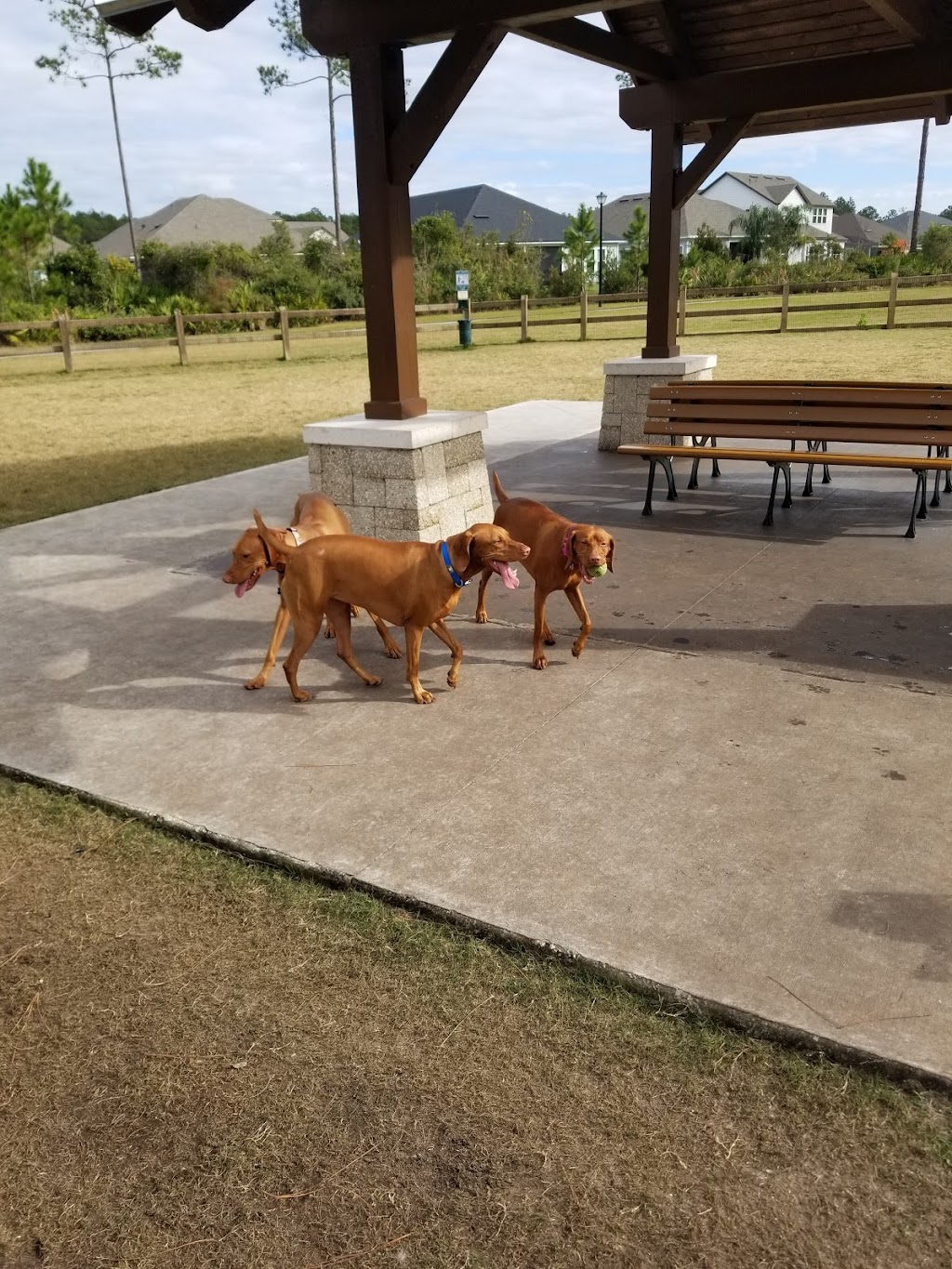 Nocatee Dog Park | Ponte Vedra Beach, FL 32081, USA | Phone: (904) 924-6850