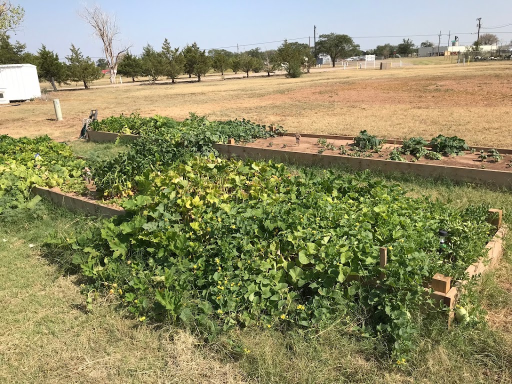 Lone Star Manufactured Home Community | 4701 E Rice St, Lubbock, TX 79403, USA | Phone: (806) 412-4420