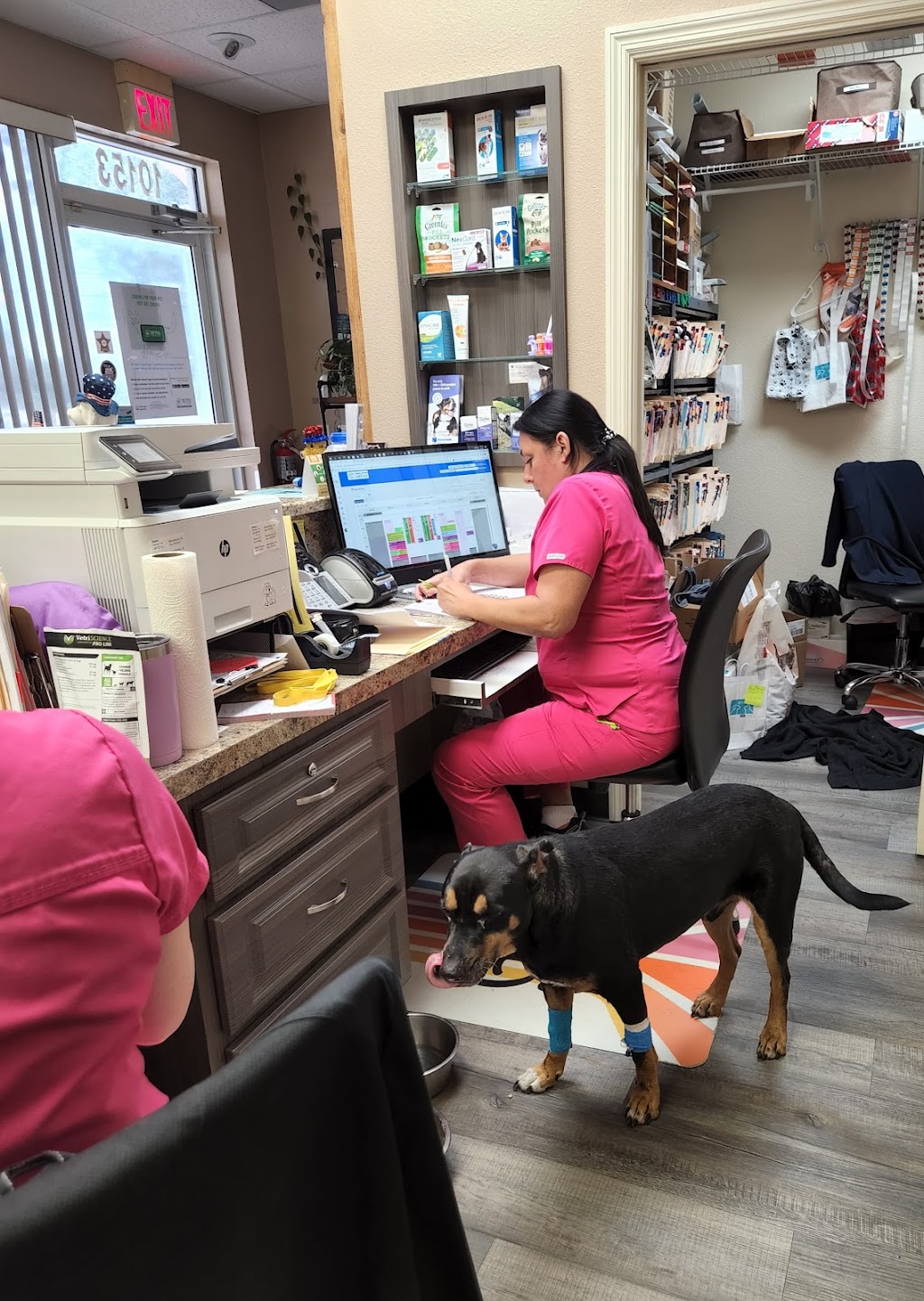 Nature Coast Animal Wellness and Surgical Center | 10153 Cortez Blvd, Brooksville, FL 34613, USA | Phone: (352) 515-6776