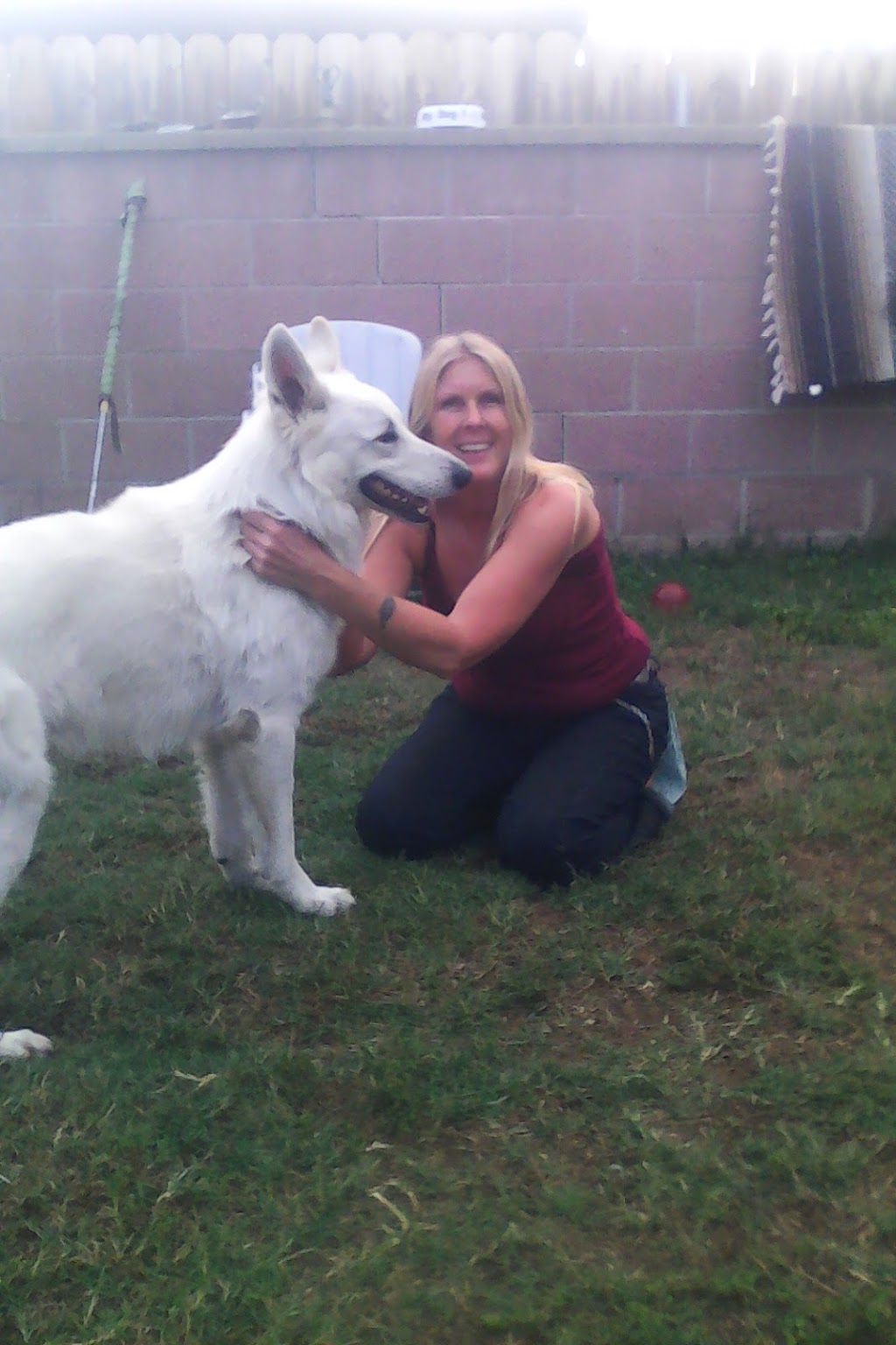 West Covina Pet Hospital | 1823 W San Bernardino Rd, West Covina, CA 91790, USA | Phone: (626) 337-2023