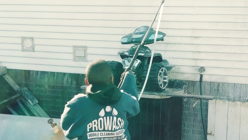 Prowash Mobile Cleaning & Hopkins Pressure Cleaning | 4310 Wendell Blvd, Wendell, NC 27591, USA | Phone: (919) 754-7642