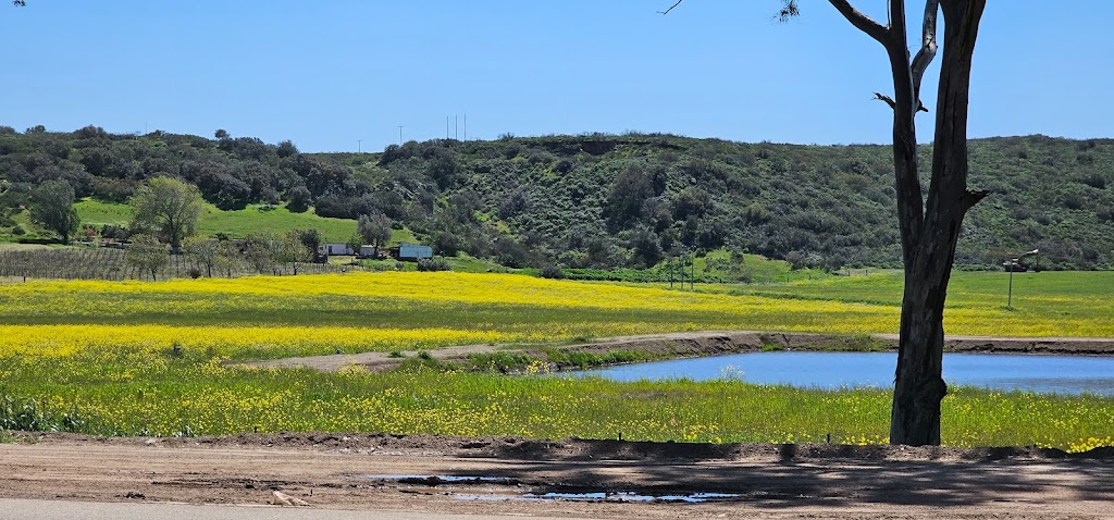 Las Chichihuas | Ruta del Vino, 22870 Ensenada, B.C., Mexico | Phone: 686 554 4612