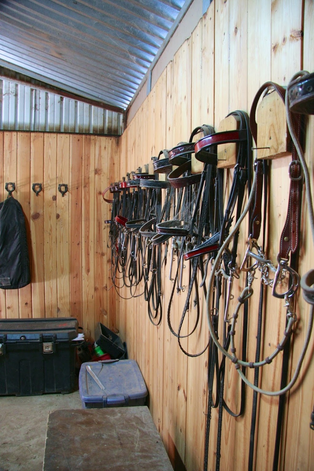 Paul cates stables | 2900 Gattis School Rd, Round Rock, TX 78664, USA | Phone: (512) 565-3886