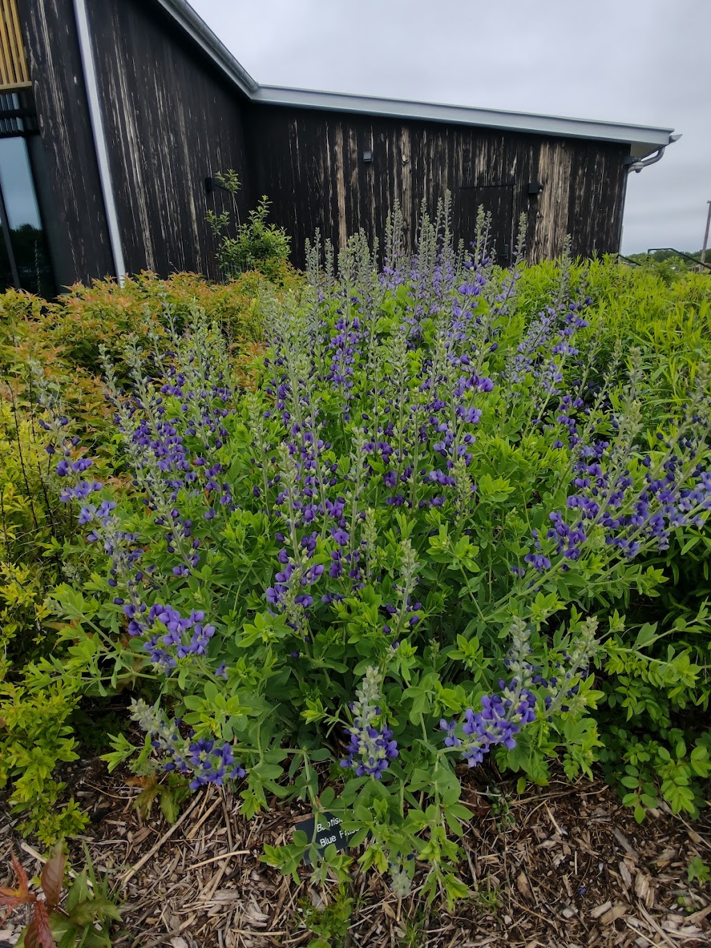 Tashjian Bee and Pollinator Discovery Center | 3210 W 82nd St, Chanhassen, MN 55317, USA | Phone: (612) 301-3486