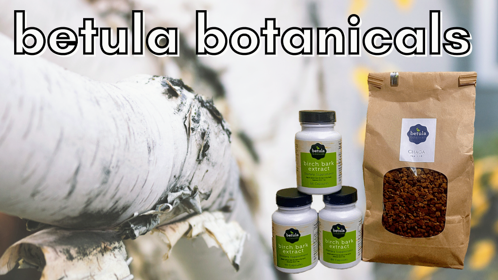 Betula Botanicals - Natural Birch Supplements | 4149 Main St, St Bonifacius, MN 55375, USA | Phone: (877) 336-9229