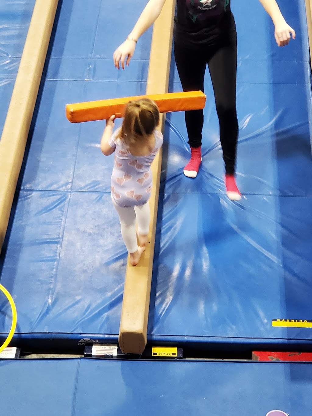 Barron Gymnastics | 5411 Jedmed Ct, St. Louis, MO 63129, USA | Phone: (314) 892-6909