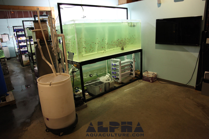 Alpha Aquaculture | 2426 Vondron Rd, Madison, WI 53718, USA | Phone: (608) 665-3361