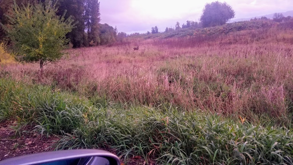 Crestwood Manufactured Home | 2154 Oregon St #3, St Helens, OR 97051, USA | Phone: (503) 397-1988