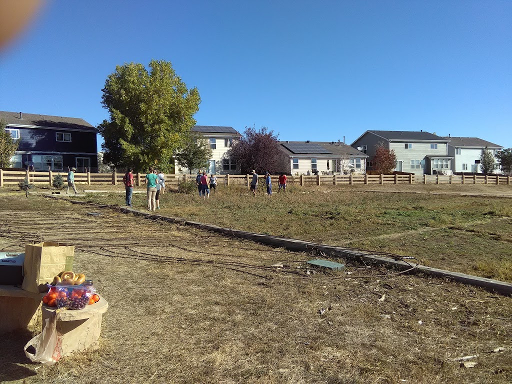 Stonehocker Community Garden | 10950 Fox Run Pkwy, Northglenn, CO 80233, USA | Phone: (303) 457-3542