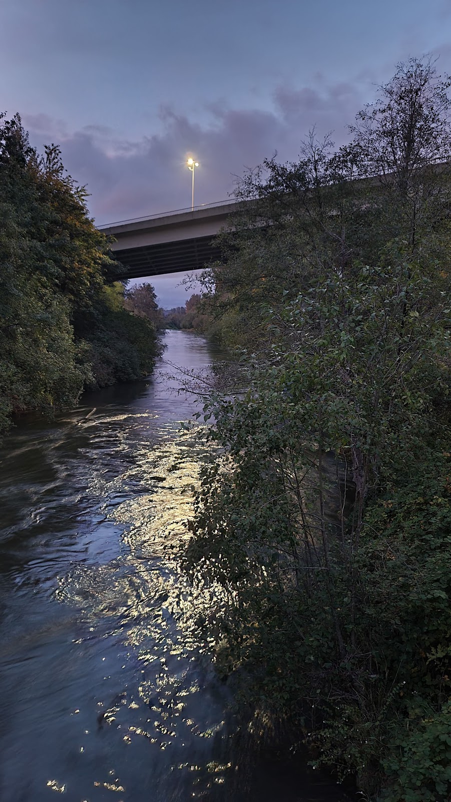 277th Street Corridor Trail | 27459 108th Ave SE, Kent, WA 98030, USA | Phone: (253) 856-5504