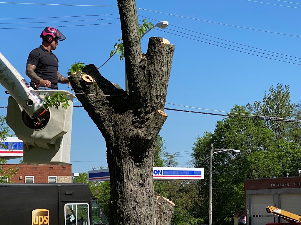 Gregory Forrest Lester Inc | 7798 Reading Rd Suite E, Cincinnati, OH 45237, USA | Phone: (513) 351-6100