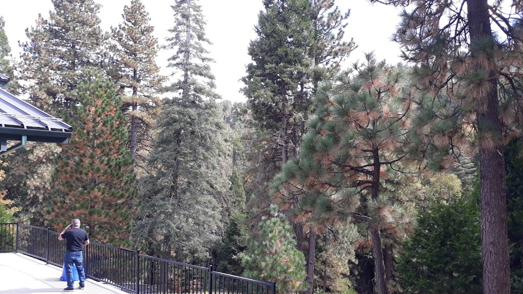 Twin Peaks Christian Conference Center | 26409 CA-189, Twin Peaks, CA 92391, USA | Phone: (909) 336-3000