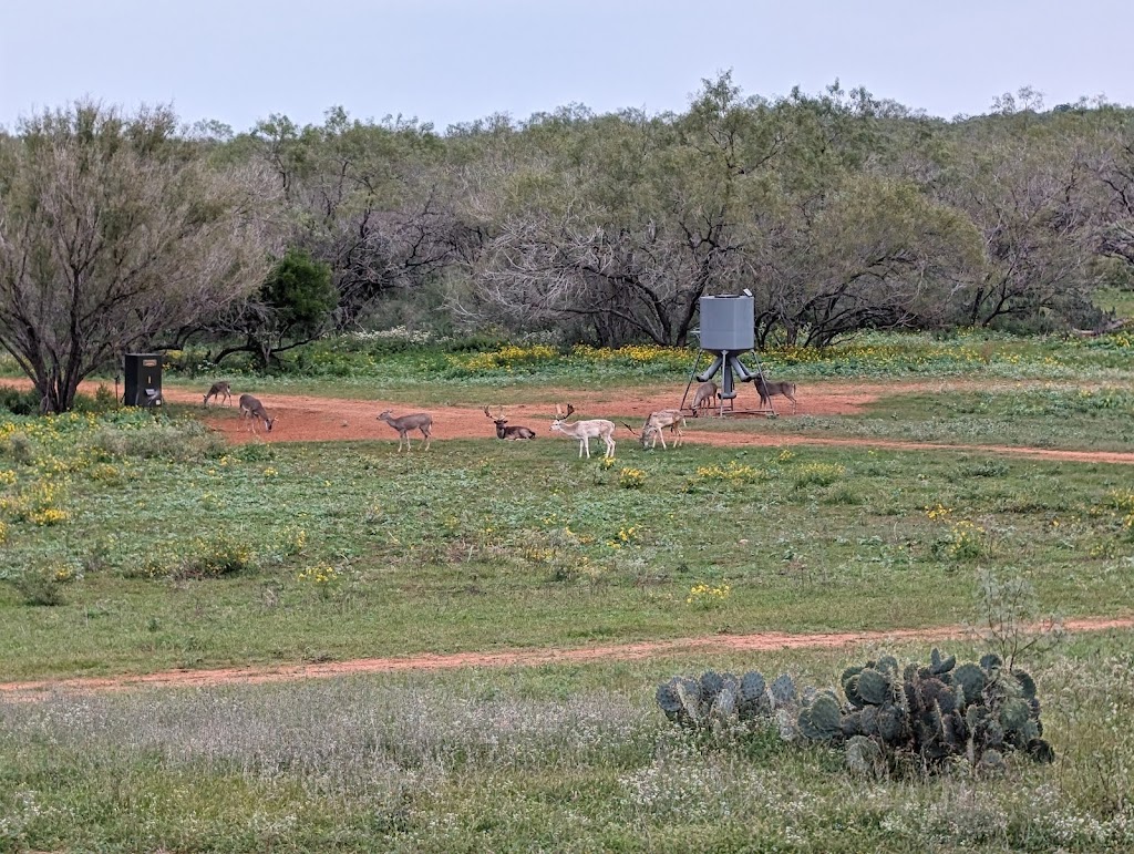 Wilson Whitetail & Wing Shooting Ranch (WWR) | 5600 Keystone Rd, Pearsall, TX 78061, USA | Phone: (210) 602-4531