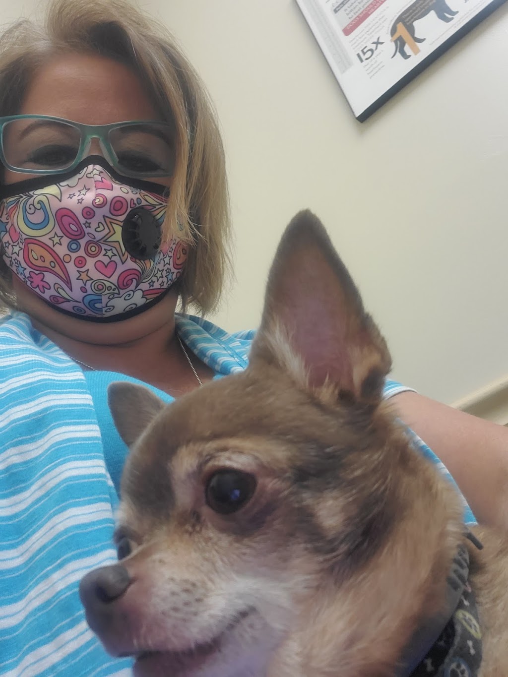 Small Paws Veterinary Clinic | 1505 N Road St, Elizabeth City, NC 27909, USA | Phone: (252) 384-0109
