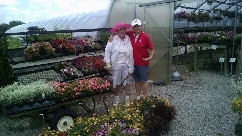 Dixie View Nursery | 537 Eads Rd, Crittenden, KY 41030, USA | Phone: (859) 356-0414