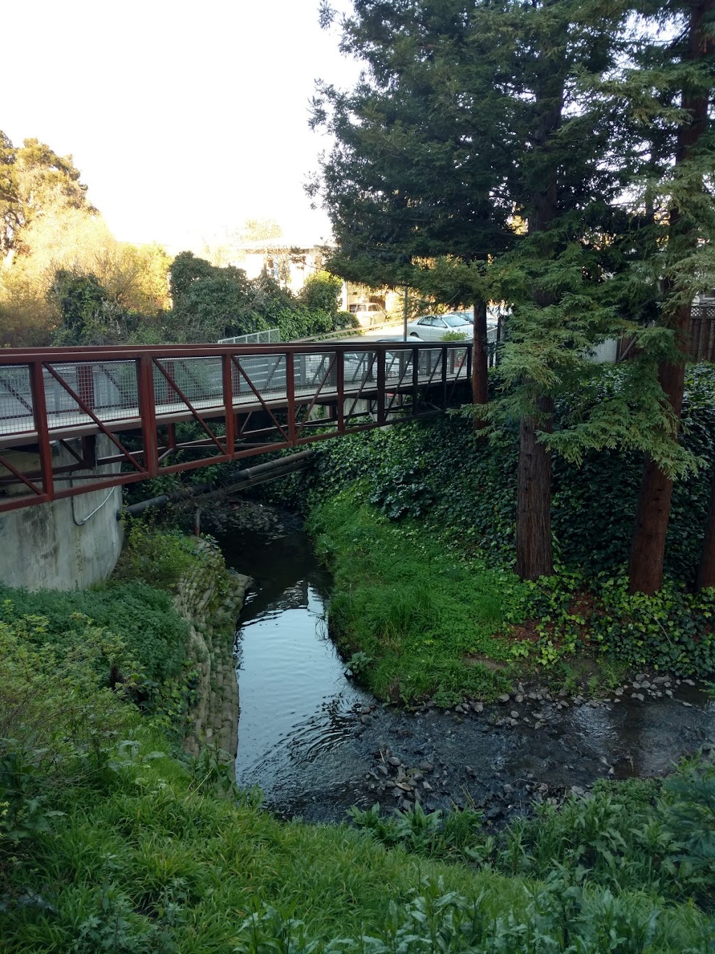 Glen Brook Terrace/Satellite Senior Homes | 4030 Panama Ct, Oakland, CA 94611, USA | Phone: (510) 654-1882