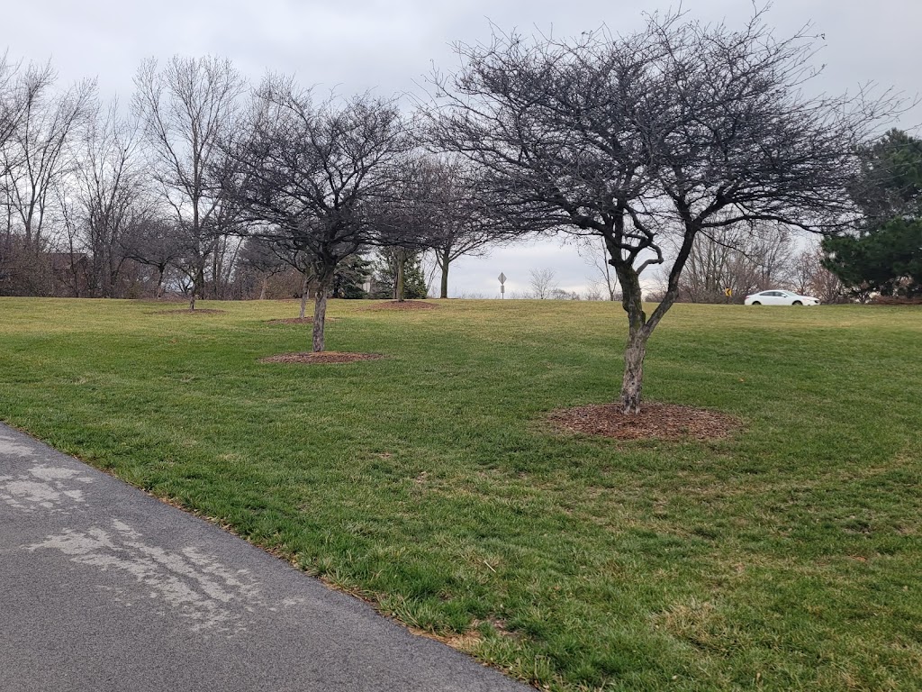 Centennial Park | 7800 W 171st St, Tinley Park, IL 60487, USA | Phone: (708) 342-4200